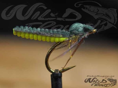 6-Pack Caddis Foam Pupa Dark Green/Yellow