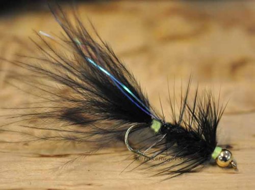 BH Black Killer Bugger Yellow Tag
