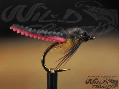 6-Pack Caddis Foam Pupa Black/Pink