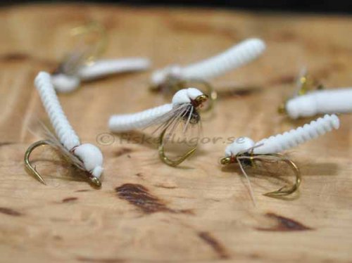 Foam Caddis Puppor Inkl Krok # 12