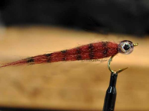 Mini CF Baitfish Grizzly Bloody Brown
