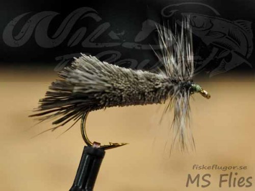 MS Goddards Sedge Short Olive Green