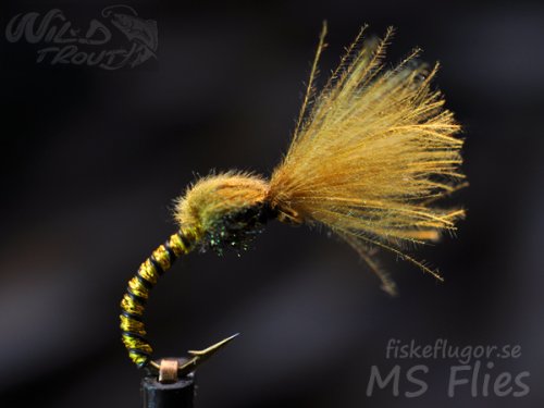 MS CDC No Hackle Emerger Golden Olive