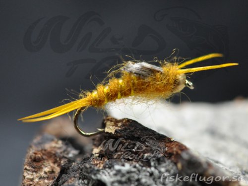 BH Stonefly Golden