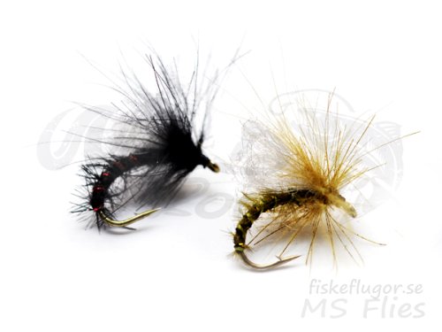 MS CDC SP Emerger Olive