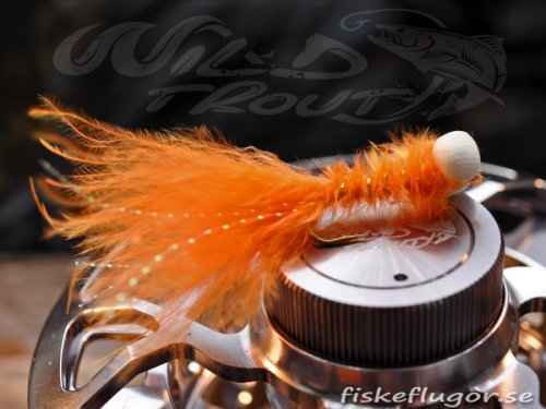 12-Pack Booby Nymph Orange