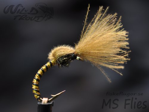 MS CDC No Hackle Emerger Golden Olive