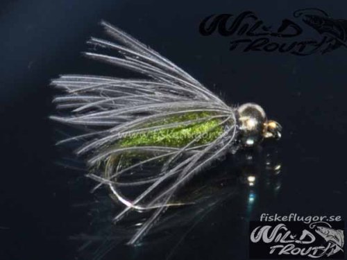 12-Pack BH CDC Softhackle Nymph Olive