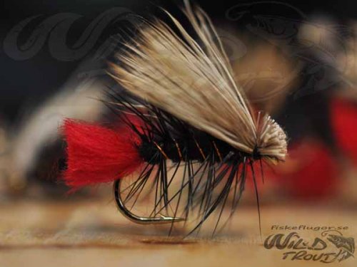 Elk Hair Caddis Black Red Tag