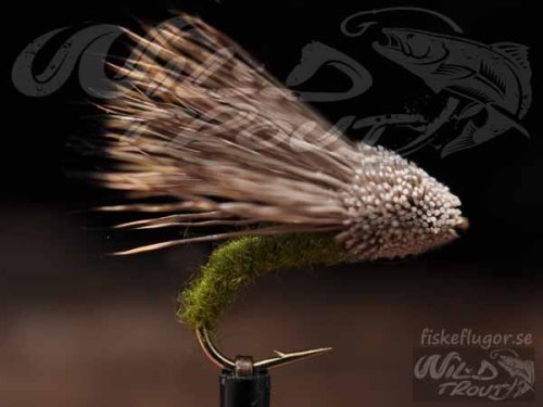 6-Pack Streaking Caddis Olive