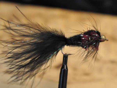 BH Fritz Montana M-Tail Red