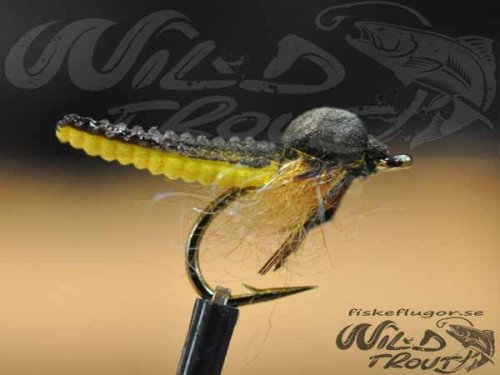 Caddis Foam Pupa Black/Yellow