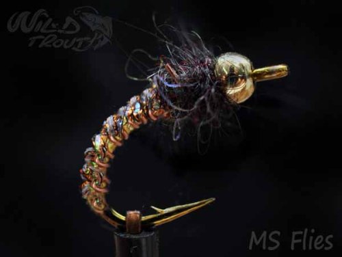 MS Goldhead Vvd Larv/Puppa Copper Pearl