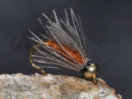 Tungsten Goldhead CDC Softhackle Nymph Brown