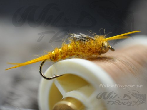 BH Stonefly Golden