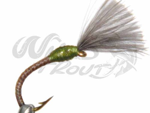 CDC Quill Buzzer Mygg Klckare Olive