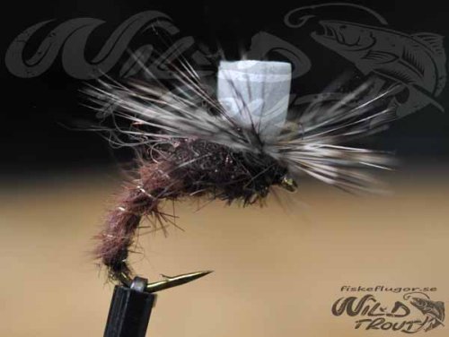 6-Pack Caddis Emerger Brown