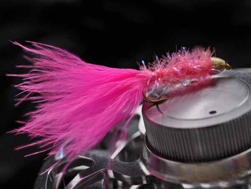 6-Pack Conehead Delibugger Pink