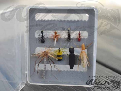 Landinsekter Mini Box Selection