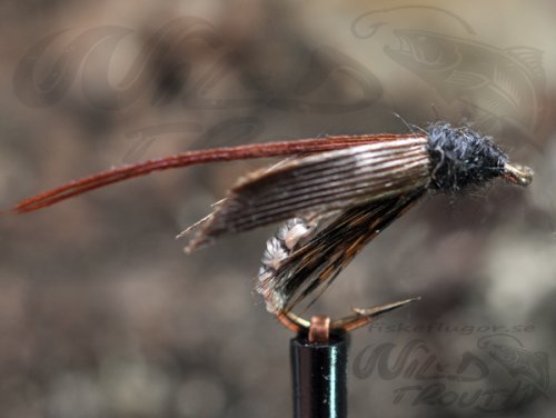 Woven Caddis Pupa Grey