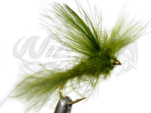 12-Pack CDC V-Fly Olive