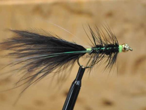 6-Pack BH Black Killer Bugger Green Tag