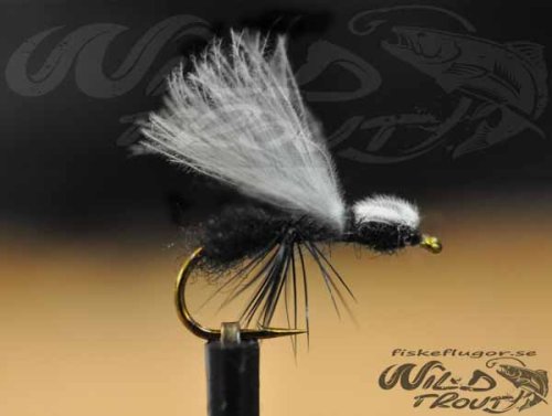 6-Pack Two Tone CDC Ant Flygmyra