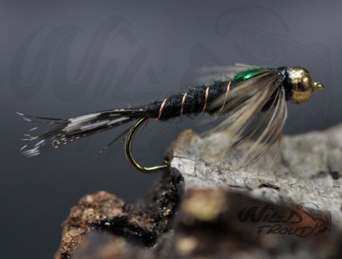 Tungsten Goldhead Black Martinez Nymph