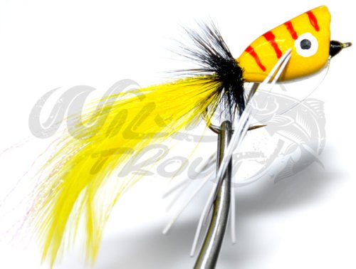 Popper Yellow Orange