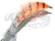 Crystal Pikefly Orange/Silver