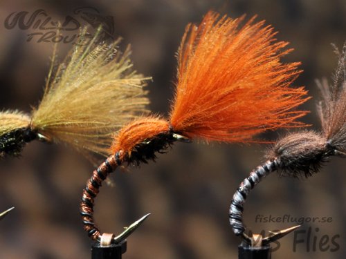 MS CDC No Hackle Emerger Copper Rusty