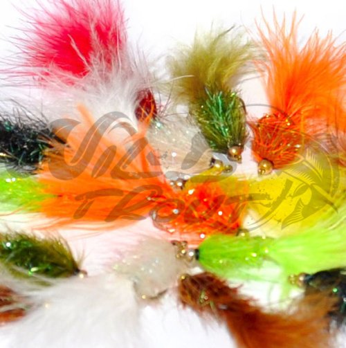 BH Fritz Woolly Bugger Collection