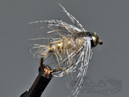 Soft Hackle BH GRHE Nymph Natural