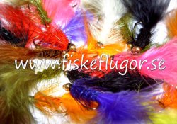 BH Woolly Bugger Collection