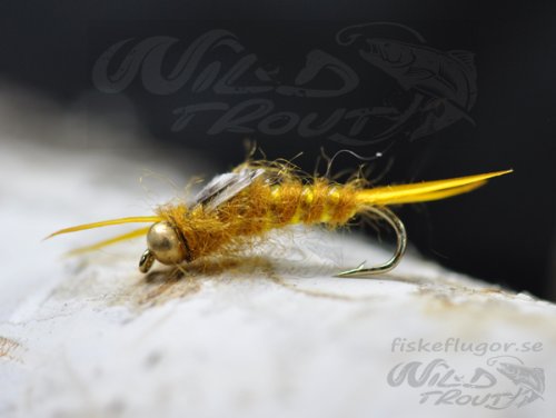 BH Stonefly Golden