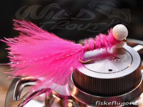 12-Pack Booby Nymph Pink