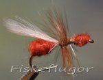  Brown Flying Ant Flygmyra Brun 
