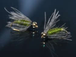 6-Pack BH CDC Softhackle Nymph Olive