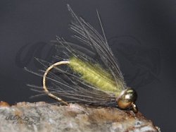 BH CDC Softhackle Nymph Yellow