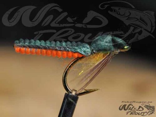 6-Pack Caddis Foam Pupa Dark Green/Orange