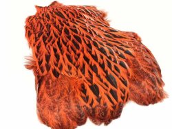 FF Freshwater Hen Capes
