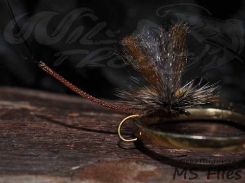 MS Ghostwing Mayfly Brown