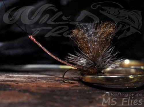 MS Ghostwing Mayfly Brown