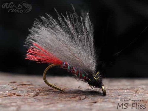 MS Shimmer F-Fly Red