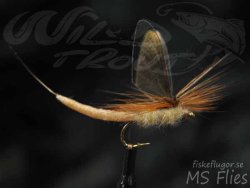 MS RW Danica Dun Mayfly