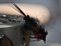 Montana Nymph Red