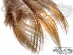  Pheasent Rump Feathers Brown 
