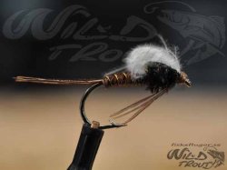 6-Pack CDC Pheasent Tail Emerger