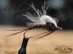 6-Pack CDC Pheasent Tail Emerger LSC