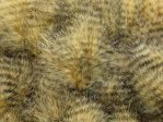  Hends Grizzly Marabou 10-15cm 